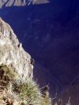 695. 2. nejhlubší kaňon světa, Colca Canyon