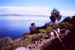 718. Titicaca 3810m, ostrov Taquile
