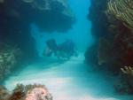 088. Big Pine Key, Florida, Looe Key - potápění